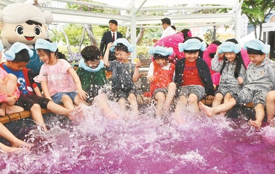 포토 유성온천축제장 찾은 아이들 네이트 뉴스