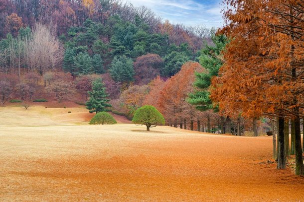 충북 하루 여행, 청남대에서 농소막까지…역사·자연·재생의 길, 충분 하루 여행' : 네이트 뉴스