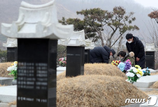 미리하는 성묘 : 네이트 뉴스