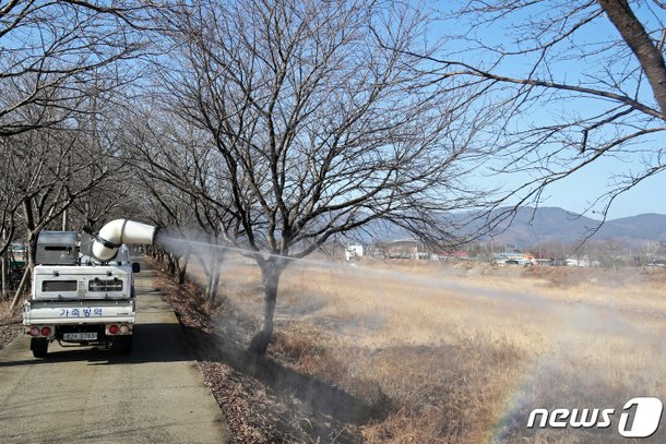 전남도 24일 낮 12시부터 24시간 오리농장 관련 이동중지 명령 : 네이트 뉴스