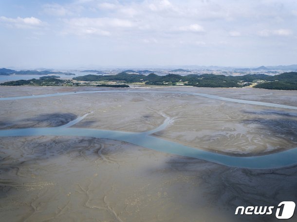'우리의 갯벌' : 네이트 뉴스