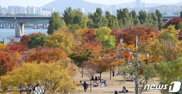 한강공원도 단풍 절정 : 네이트 뉴스