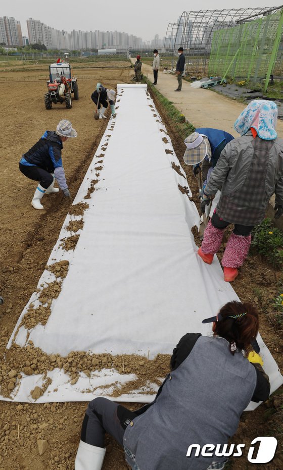 경기도농기원 못자리 작업 시작 : 네이트 뉴스