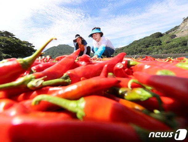[퇴근길날씨] '추분' 앞둔 저녁, 가끔 구름 많고 선선 : 네이트 뉴스