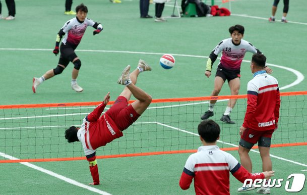 예술의 족구 : 네이트 뉴스
