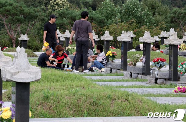 추석 앞두고 이른 성묘 : 네이트 뉴스