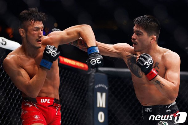 강경호, UFC 랭킹 진입 다음 기회로…카스타네다에 판정패 : 네이트 스포츠