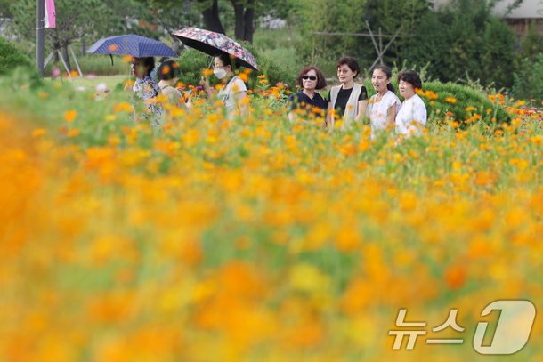 '가을을 담다' : 네이트 뉴스