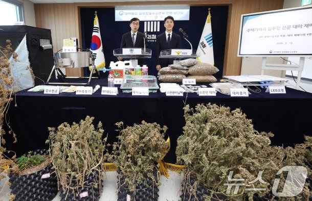 대마 투약 수사 참고 자료 2026년 2월 별도 대마 압수 브리핑 장면