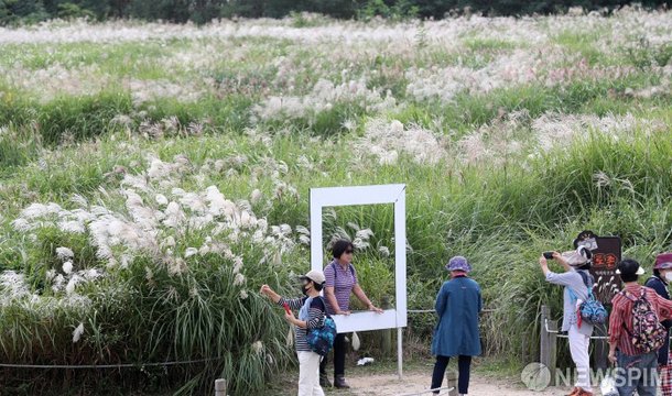 '추분' 가을의 정취 : 네이트 뉴스