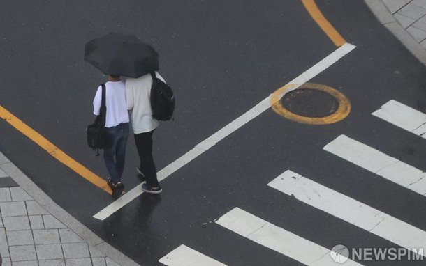 갑작스런 비에 꼭 붙어서 네이트 뉴스