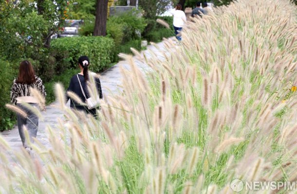 추분…선선해진 가을 : 네이트 뉴스