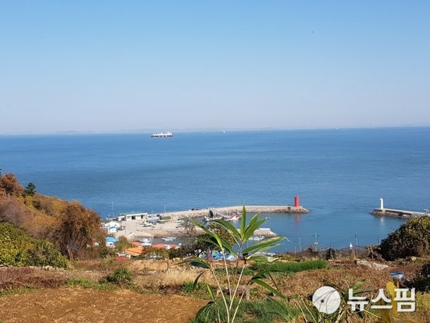 안산시 '풍도 공정 생태관광 프로그램' 참가자 모집 : 네이트 뉴스