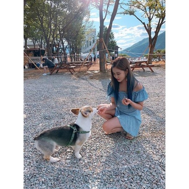우주소녀 다영, 이 몸매 실화? 탄탄 복근+잘록 허리로 섹시美↑[SNS★컷] | 네이트 연예