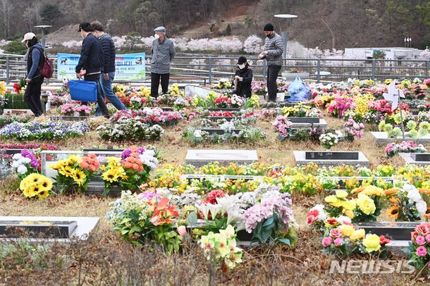 한식 앞두고 가족묘 찾은 성묘객들 : 네이트 뉴스