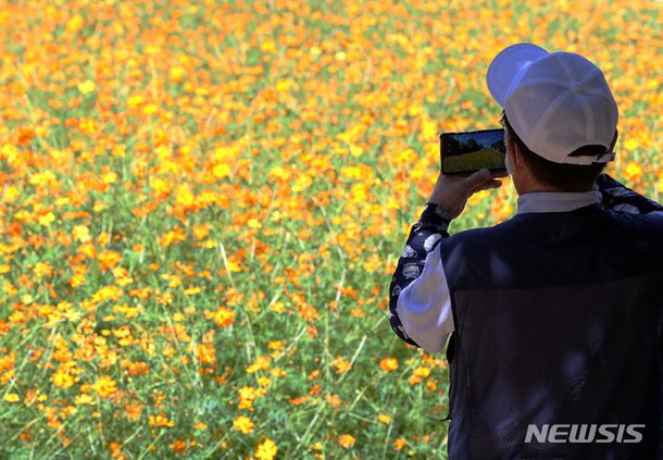 '가을을 담다' : 네이트 뉴스