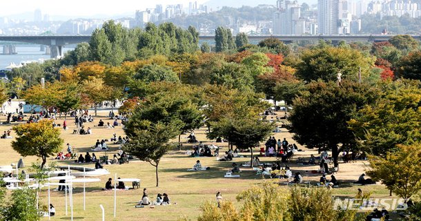 단풍 초읽기, 나들이객으로 붐비는 한강공원 : 네이트 뉴스