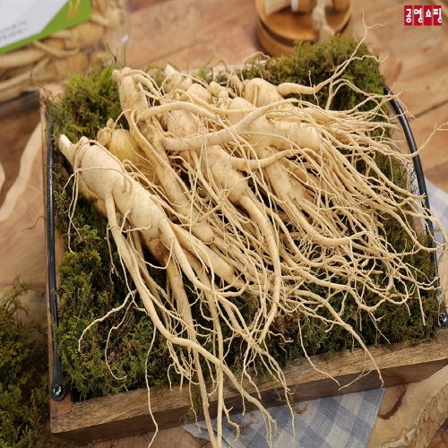 공영홈쇼핑, 내일 인삼 특집…흙수삼 1㎏ 2만9900원 : 네이트 뉴스