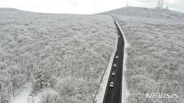 '한파 절정' 제주 올 겨울 가장 춥다…한라산 최대 70㎝ 눈 : 네이트 뉴스