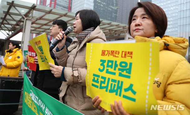 발언하는 이정미 당 대표 : 네이트 뉴스