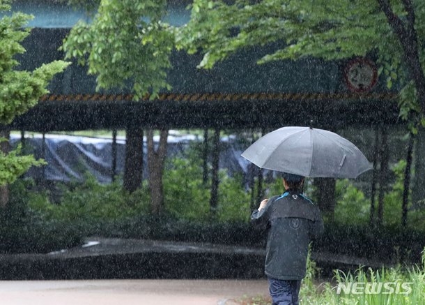 비 내리는 서울숲 : 네이트 뉴스