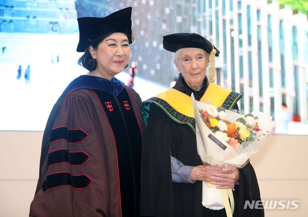 명예 박사학위 받은 제인 구달 : 네이트 뉴스