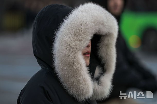 '춥다' : 네이트 뉴스