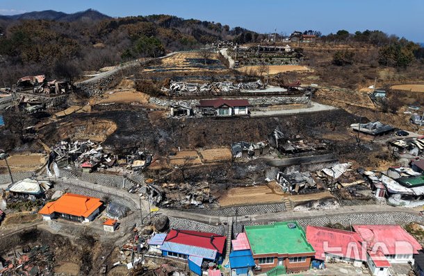 불에 탄 영덕읍 노물리 마을 : 네이트 뉴스