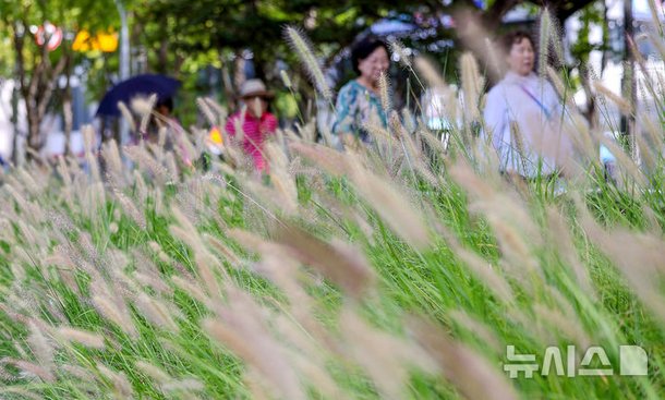 '가을이 찾아왔어요' : 네이트 뉴스