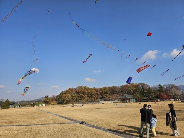 '연 날리기 기막히게 좋은 날'…줄지어 하늘을 날고 있는 연 : 네이트 뉴스