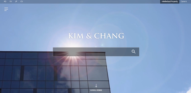 [현장] 김앤장 출신 법조인 CEO 전성시대…'양날의 칼' 우려도 : 네이트 뉴스