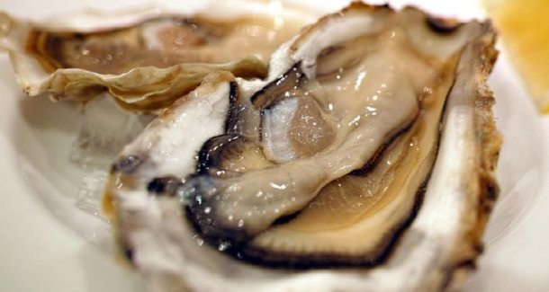 굴 등 조개구이 시즌, 겨울 노로바이러스 식중독 조심 : 네이트 뉴스