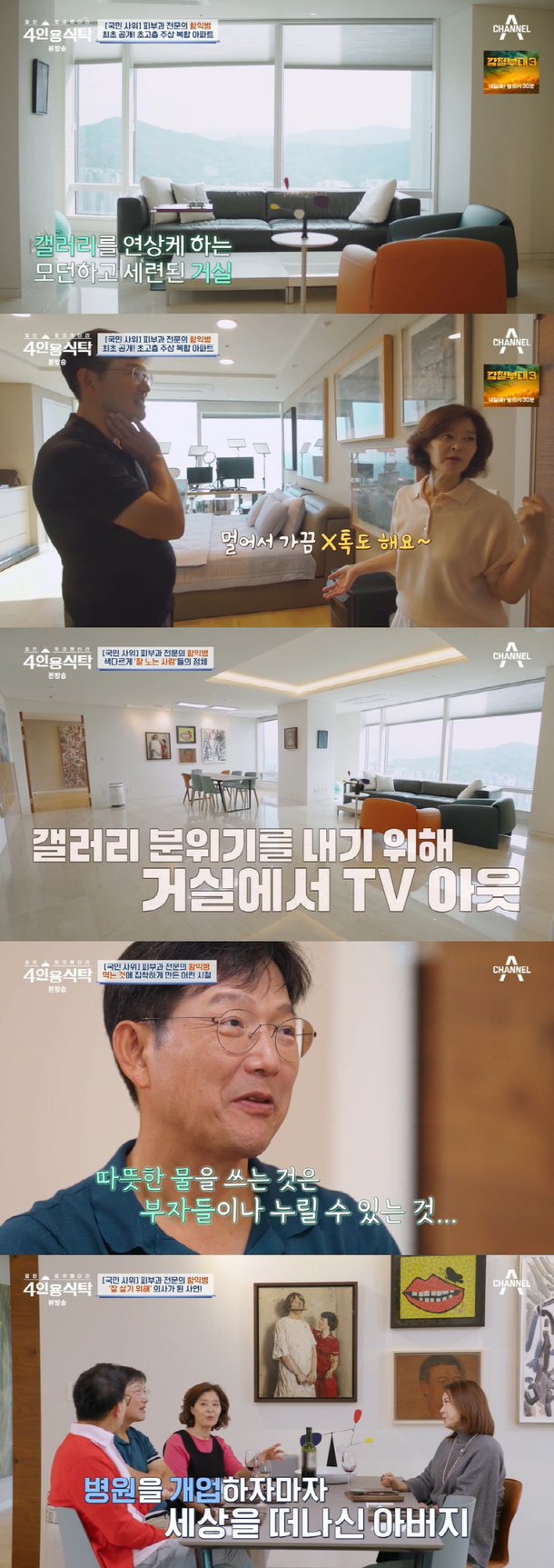 함익병, 갤러리 같은 93평 집 공개 