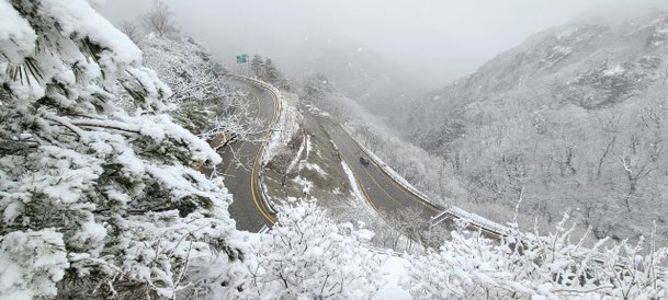 [사진] 눈 덮인 한계령···내일 한파특보 : 네이트 뉴스