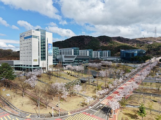 DGIST, 하버드·MIT과 나란히…'논문 피인용 수' 2년 연속 최고점 : 네이트 뉴스