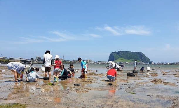 제주 해수욕장 내달 개장…레포츠·조개잡이 체험 등 피서객 맞이 한창 : 네이트 뉴스