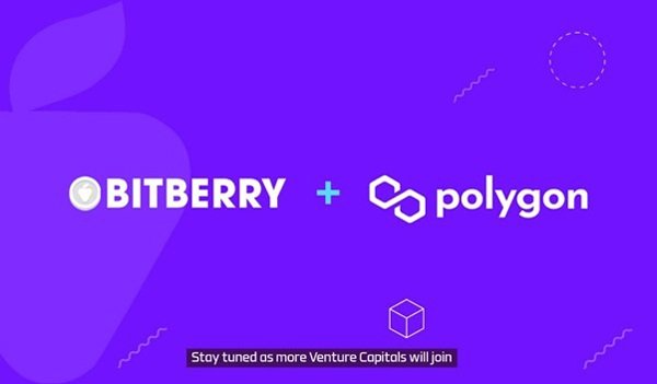비트베리(Bitberry)-폴리곤(Polygon) 파트너쉽 체결…메인넷 지원 : 네이트 뉴스
