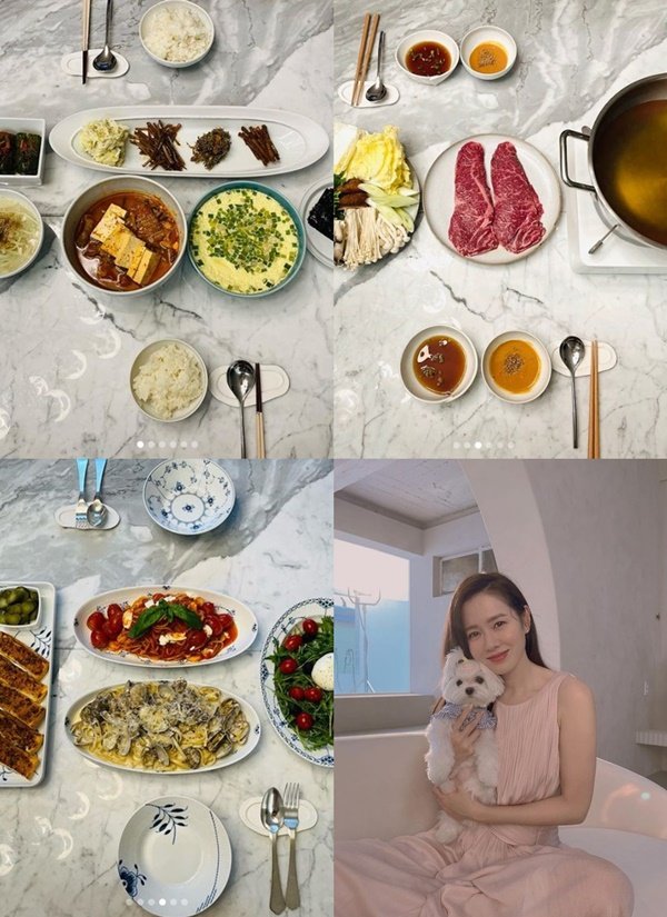 손예진의 2022년 신혼 요리 사진과 반려견 관련 공개 사진 모음