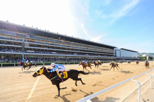 2020 경마, 어떤 모습으로 변할까 : 네이트 뉴스