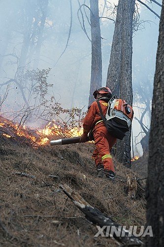 CHINA-SICHUAN-YAJIANG-FOREST FIRE-RESCUE (CN) : 네이트 뉴스