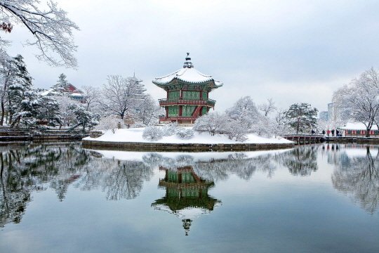[조하나, 속삭이는 무용] 춤의 유산, 향악과 당악 : 네이트 뉴스