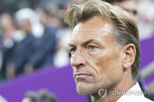 아르헨 이긴 '프랑스인' 사우디 감독 "미안한데 모로코 응원…세계 최고 됐으면" : 네이트 스포츠 아르헨 이긴 '프랑스인' 사우디 감독 "미안한데 모로코 응원…세계 최고 됐으면" : 네이트 스포츠
