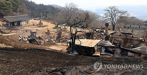 경북 의성 산불에 전소된 운람사 : 네이트 뉴스