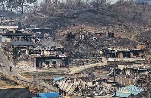 산불 휩쓸고 간 영덕 : 네이트 뉴스