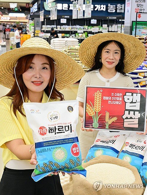 농협유통, 2026년 첫 수확 햅쌀 '빠르미2' 선보여 : 네이트 뉴스