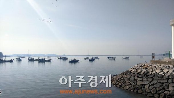 살랑이는 봄바람 따라 야생화의 천국 '풍도'로 여행 갈까? : 네이트 뉴스