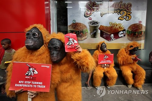 INDIA GREENPEACE KFC PACKAGING PROTEST : 네이트 뉴스