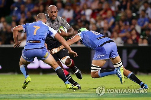 AUSTRALIA SUPER RUGBY : 네이트 뉴스