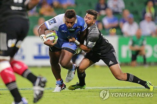 AUSTRALIA SUPER RUGBY : 네이트 뉴스
