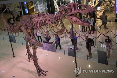 CHINA HONG KONG T-REX : 네이트 뉴스